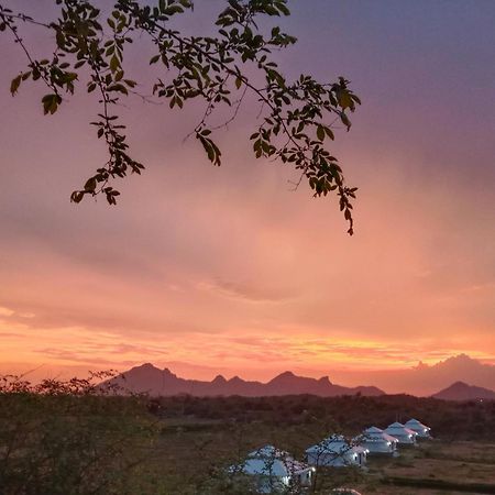 The Bagheera Bagh Jawai Hotel Bera Bagian luar foto