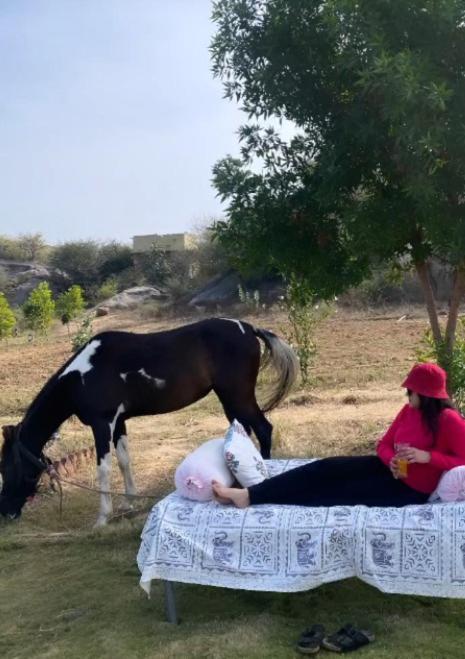 The Bagheera Bagh Jawai Hotel Bera Bagian luar foto