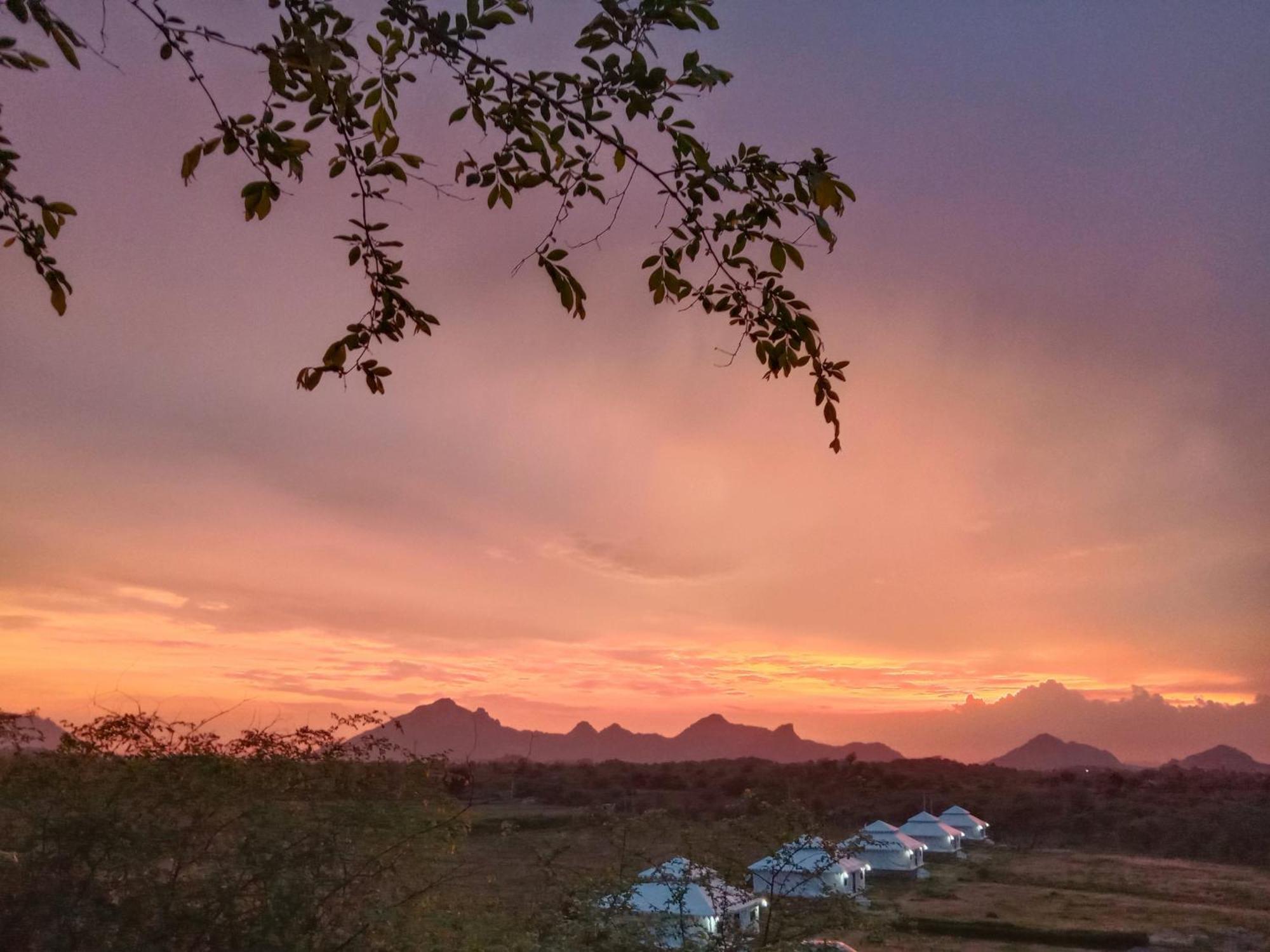 The Bagheera Bagh Jawai Hotel Bera Bagian luar foto