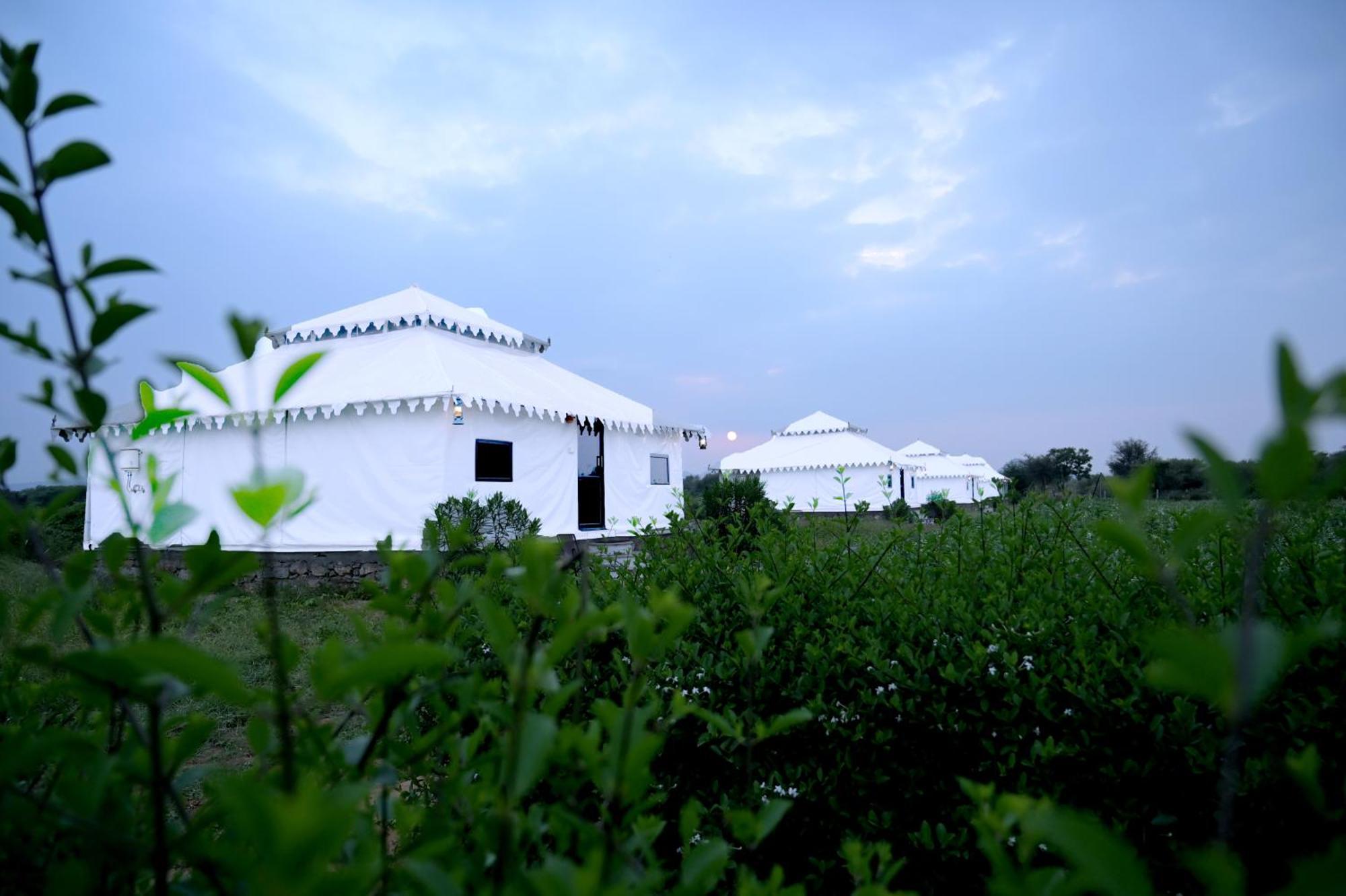 The Bagheera Bagh Jawai Hotel Bera Bagian luar foto