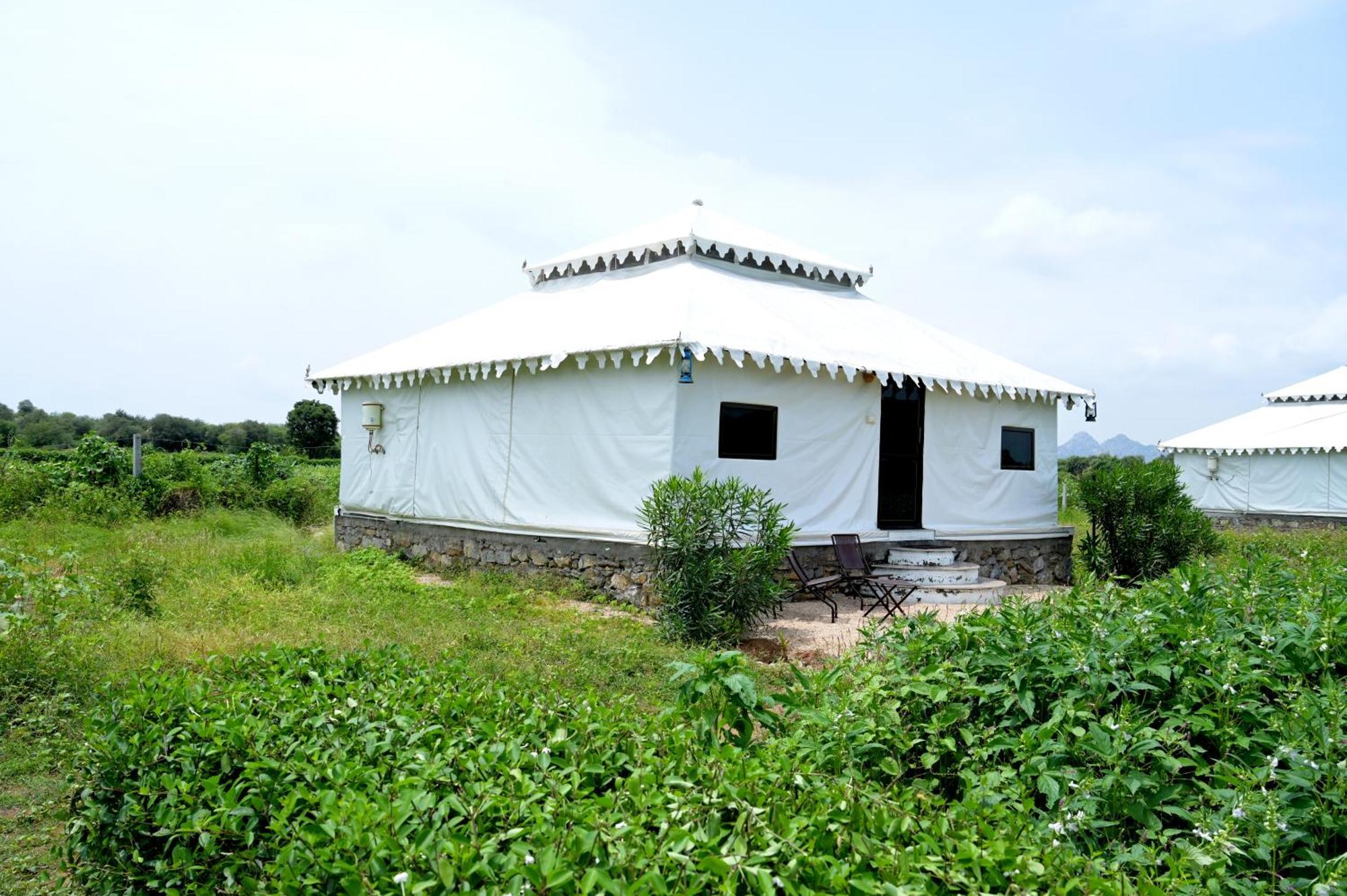 The Bagheera Bagh Jawai Hotel Bera Bagian luar foto